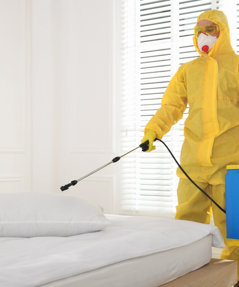 Professional Pest Control Team in Cowandilla